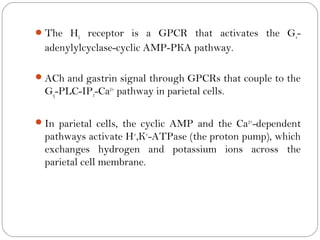  The H2 receptor is a GPCR that activates the Gs-
  adenylylcyclase-cyclic AMP-PKA pathway.

 ACh and gastrin signal through GPCRs that couple to the
  Gq-PLC-IP3-Ca2+ pathway in parietal cells.

 In parietal cells, the cyclic AMP and the Ca 2+-dependent
  pathways activate H+,K+-ATPase (the proton pump), which
  exchanges hydrogen and potassium ions across the
  parietal cell membrane.
 