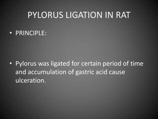 PYLORUS LIGATION IN RAT
• PRINCIPLE:
• Pylorus was ligated for certain period of time
and accumulation of gastric acid cause
ulceration.
 