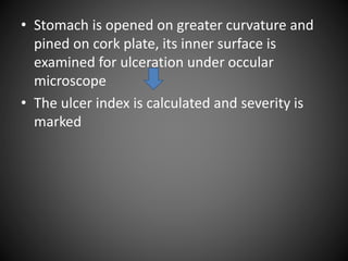 • Stomach is opened on greater curvature and
pined on cork plate, its inner surface is
examined for ulceration under occular
microscope
• The ulcer index is calculated and severity is
marked
 
