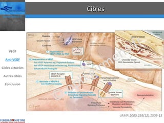 Cibles JAMA 2005;293(12):1509-13 VEGF Anti-VEGF Cibles actuelles Autres cibles Conclusion © oph.girmens.fr 