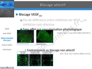 Blocage sélectif Blocage VEGF 165 Pas de différence entre inhibition du VEGF 164  et inhibition non sélective Sans effet sur vascularisation physiologique Ishida S. & al. J Exp Med 2003;198:483-9 Contrairement au blocage non sélectif Inai T & al. Am J Pathol 2004;1:35-52 VEGF Anti-VEGF Cibles actuelles Macugen Autres cibles Conclusion 