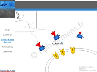 VEGF Anti-VEGF Cibles actuelles Lucentis Autres cibles Conclusion 