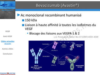 Bevacizumab (Avastin®) Ac monoclonal recombinant humanisé 150 kDa Liaison à haute affinité à toutes les isoformes du VEGF Blocage des liaisons aux VEGFR-1 & 2 L.G. Presta & al. Cancer Res 57 (1997) 4593–4599 VEGF Anti-VEGF Cibles actuelles Avastin Autres cibles Conclusion 