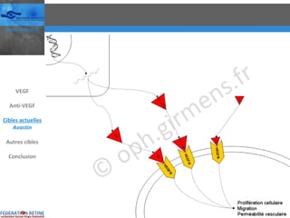 VEGF Anti-VEGF Cibles actuelles Avastin Autres cibles Conclusion 