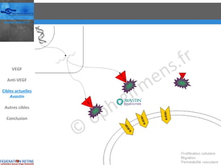 VEGF Anti-VEGF Cibles actuelles Avastin Autres cibles Conclusion 