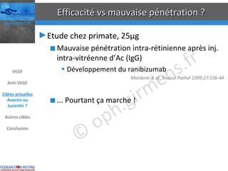 Efficacité vs mauvaise pénétration ? Etude chez primate, 25µg Mauvaise pénétration intra-rétinienne après inj. intra-vitréenne d’Ac (IgG) Développement du ranibizumab Mordenti & al. Toxicol Pathol 1999;27:536-44 ... Pourtant ça marche ! VEGF Anti-VEGF Cibles actuelles Avastin ou Lucentis ? Autres cibles Conclusion 