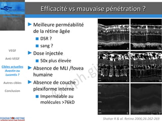 Efficacité vs mauvaise pénétration ? Meilleure perméabilité de la rétine âgée DSR ? sang ? Dose injectée 50x plus élevée Absence de MLI /fovea humaine Absence de couche plexiforme interne Imperméable au molécules >76kD Shahar R & al. Retina 2006;26:262-269  VEGF Anti-VEGF Cibles actuelles Avastin ou Lucentis ? Autres cibles Conclusion 