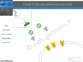 Cand-5 (Acuity pharmaceuticals) VEGF Anti-VEGF Cibles actuelles Autres cibles Conclusion 