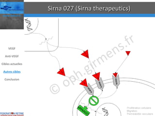 Sirna 027 (Sirna therapeutics) siRNA027 VEGF Anti-VEGF Cibles actuelles Autres cibles Conclusion 