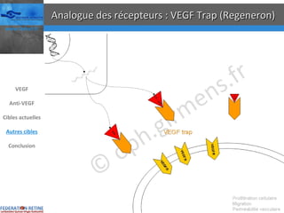 Analogue des récepteurs : VEGF Trap (Regeneron) VEGF Anti-VEGF Cibles actuelles Autres cibles Conclusion 