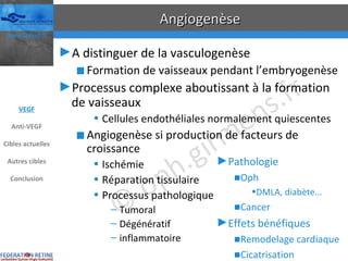 Angiogenèse A distinguer de la vasculogenèse Formation de vaisseaux pendant l’embryogenèse Processus complexe aboutissant à la formation de vaisseaux Cellules endothéliales normalement quiescentes Angiogenèse si production de facteurs de croissance Ischémie Réparation tissulaire Processus pathologique Tumoral Dégénératif inflammatoire Pathologie Oph DMLA, diabète... Cancer Effets bénéfiques Remodelage cardiaque Cicatrisation VEGF Anti-VEGF Cibles actuelles Autres cibles Conclusion 