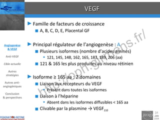 VEGF Famille de facteurs de croissance A, B, C, D, E, Placental GF Principal régulateur de l’angiogenèse :  A Plusieurs isoformes (nombre d’acides aminés) 121, 145, 148, 162, 165, 183, 189, 206 (aa) 121 & 165 les plus produites au niveau rétinien Isoforme ≥ 165 aa : 2 domaines Liaison aux récepteurs du VEGF Présent dans toutes les isoformes Liaison à l’héparine Absent dans les isoformes diffusibles < 165 aa Clivable par la plasmine -> VEGF 110 Angiogenèse & VEGF Anti-VEGF Cible actuelle Autres stratégies Autres anti-angiogéniques Conclusion & perspectives 