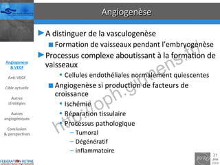 Angiogenèse A distinguer de la vasculogenèse Formation de vaisseaux pendant l’embryogenèse Processus complexe aboutissant à la formation de vaisseaux Cellules endothéliales normalement quiescentes Angiogenèse si production de facteurs de croissance Ischémie Réparation tissulaire Processus pathologique Tumoral Dégénératif inflammatoire Angiogenèse & VEGF Anti-VEGF Cible actuelle Autres stratégies Autres angiogéniques Conclusion & perspectives 