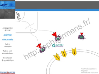 Angiogenèse & VEGF Anti-VEGF Cible actuelle Autres stratégies Autres anti-angiogéniques Conclusion & perspectives 