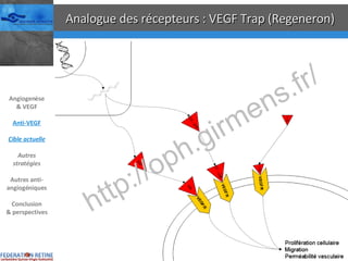 Analogue des récepteurs : VEGF Trap (Regeneron) Angiogenèse & VEGF Anti-VEGF Cible actuelle Autres stratégies Autres anti-angiogéniques Conclusion & perspectives 