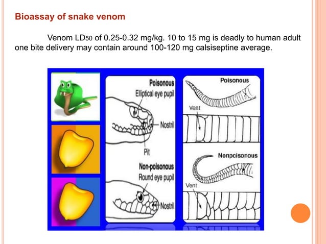 Venom Testing Biological test and assay of Antivenom | PPTX | Blood Disorders ...
