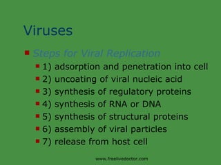 Viruses Steps for Viral Replication 1) adsorption and penetration into cell 2) uncoating of viral nucleic acid 3) synthesis of regulatory proteins 4) synthesis of RNA or DNA 5) synthesis of structural proteins 6) assembly of viral particles 7) release from host cell www.freelivedoctor.com 