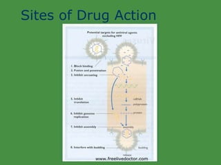 Sites of Drug Action www.freelivedoctor.com 