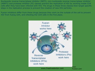 Nucleoside reverse transcriptase inhibitor (NRTI), non-nucleoside reverse transcriptase inhibitor (NNRTI) and protease inhibitor (PI) classes prevent the replication of HIV by working inside CD4 cells after they have been infected with HIV. The drugs in these three classes then target specific steps in the replication process to prevent the creation of new HIV particles. Fusion inhibitors differ from these drugs because they work on the outside of the cell to prevent HIV from fusing with, and infecting the CD4 cells in the first place.  from Fuzeon.com www.freelivedoctor.com 