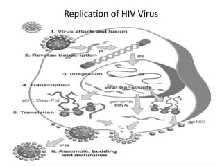 Replication of HIV Virus
 