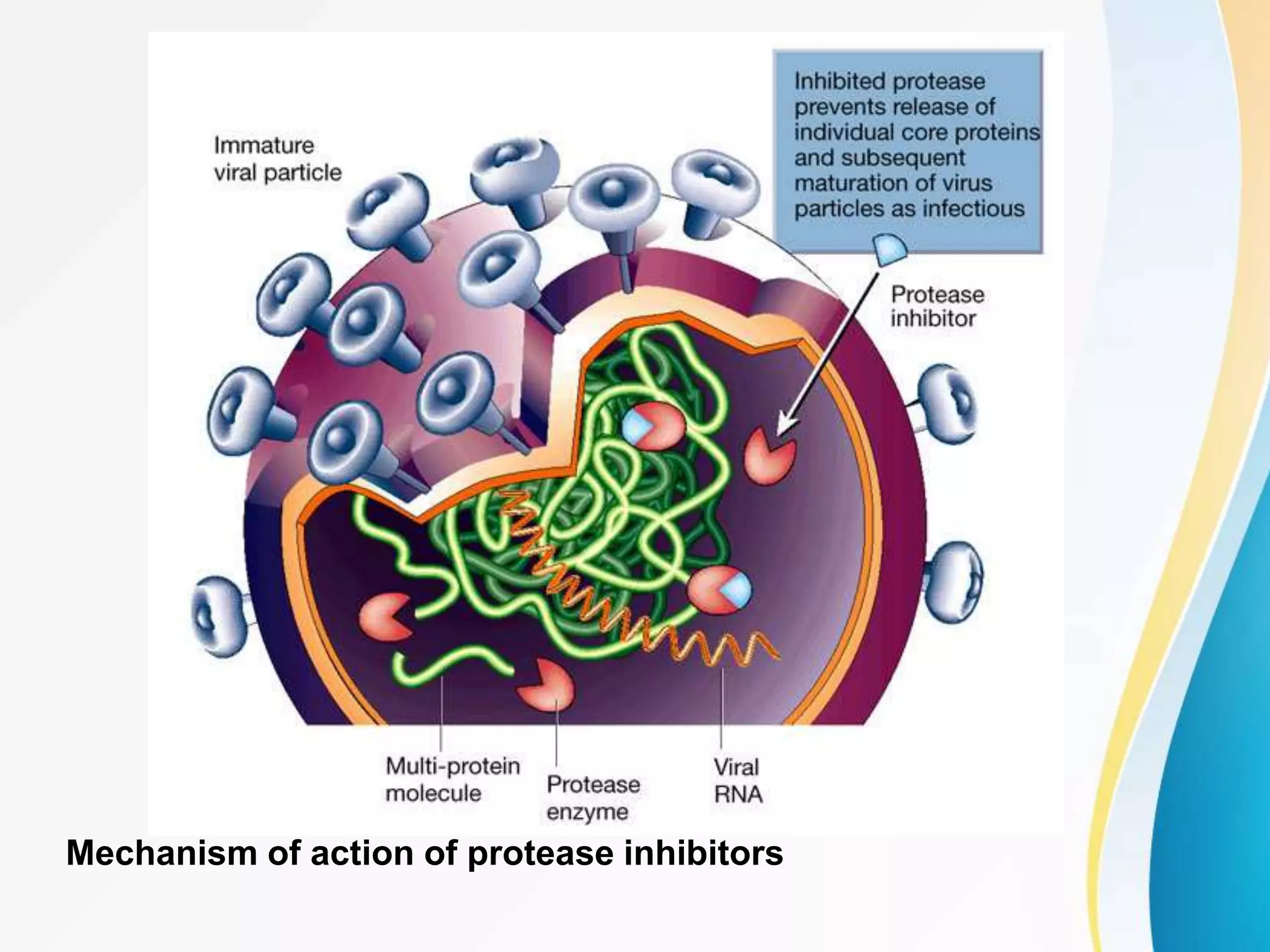 Antiviral agents history, classification,mechanism of action and ...