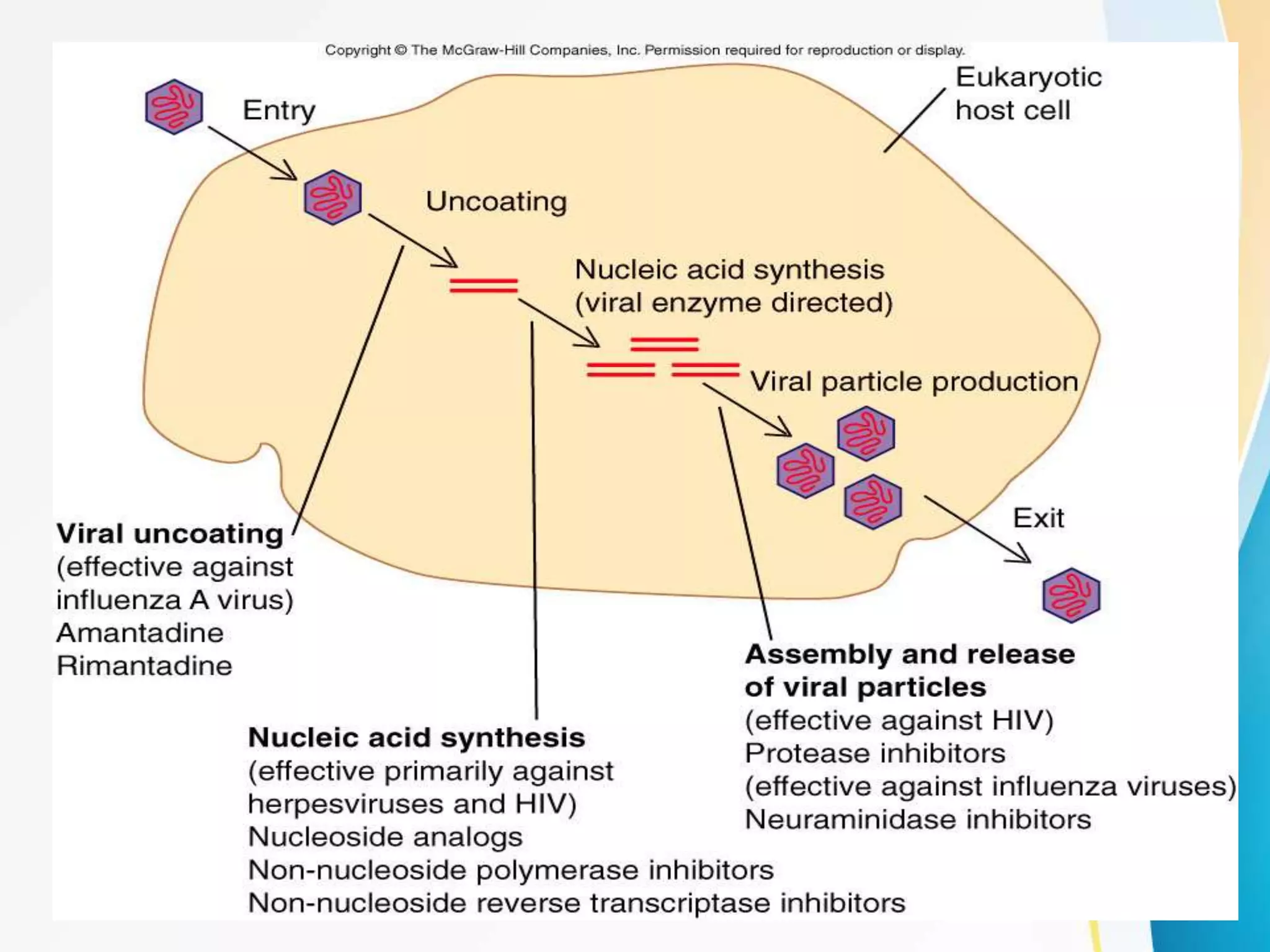 Antiviral agents history, classification,mechanism of action and ...