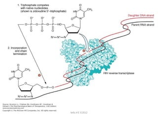 Antiviral drug mechanisms target different stages of the viral life ...