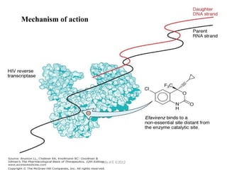 Antiviral drug mechanisms target different stages of the viral life ...