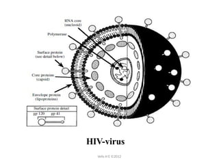 Antiviral drug mechanisms target different stages of the viral life ...