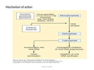 Antiviral drug mechanisms target different stages of the viral life ...