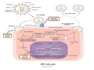 Antiviral drug mechanisms target different stages of the viral life ...