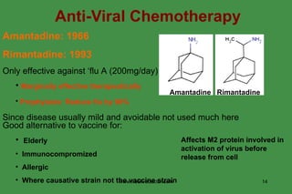 Anti-Viral Chemotherapy Amantadine: 1966 Rimantadine: 1993 Only effective against ‘flu A (200mg/day) Marginally effective therapeutically Prophylaxis: Reduce flu by 90%   Since disease usually mild and avoidable not used much here Good alternative to vaccine for: Elderly Immunocompromized Allergic Where causative strain not the vaccine strain Affects M2 protein involved in activation of virus before release from cell Amantadine  Rimantadine www.freelivedoctor.com 
