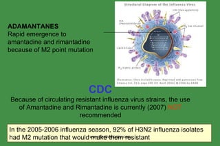 ADAMANTANES Rapid emergence to amantadine and rimantadine  because of M2 point mutation CDC Because of circulating resistant influenza virus strains, the use of Amantadine and Rimantadine is currently (2007)  NOT  recommended In the 2005-2006 influenza season, 92% of H3N2 influenza isolates had M2 mutation that would make them resistant www.freelivedoctor.com 