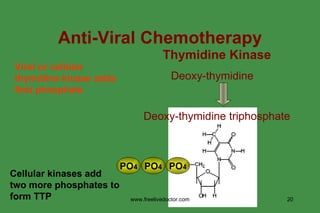Thymidine Kinase Deoxy-thymidine  Deoxy-thymidine triphosphate Viral or cellular thymidine kinase adds first phosphate PO 4 PO 4 PO 4 Cellular kinases add two more phosphates to form TTP Anti-Viral Chemotherapy www.freelivedoctor.com 