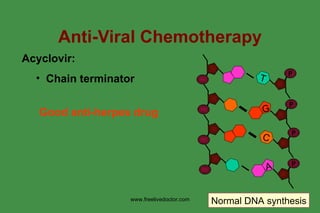 Anti-Viral Chemotherapy Acyclovir:  Chain terminator Good anti-herpes drug Normal DNA synthesis www.freelivedoctor.com T P P G P C P A 