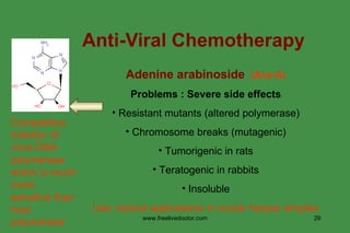 Anti-Viral Chemotherapy Adenine arabinoside   (Ara-A) Problems : Severe side effects Resistant mutants (altered polymerase) Chromosome breaks (mutagenic) Tumorigenic in rats Teratogenic in rabbits Insoluble Use: topical applications in ocular herpes simplex Competitive inhibitor of virus DNA polymerase which is much more sensitive than host polymerase www.freelivedoctor.com 