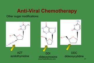 Anti-Viral Chemotherapy Other sugar modifications: AZT azidothymidine DDI dideoxyinosine DDC dideoxycytidine www.freelivedoctor.com 