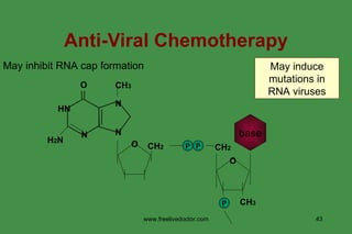 Anti-Viral Chemotherapy May induce mutations in RNA viruses www.freelivedoctor.com May inhibit RNA cap formation N N N HN H 2 N O CH 3 O CH 2 P P CH 2 O CH 3 P base 