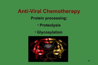 Anti-Viral Chemotherapy Protein processing: Proteolysis Glycosylation  www.freelivedoctor.com 
