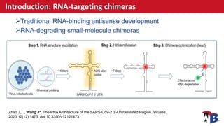 Introduction: RNA-targeting chimeras
Traditional RNA-binding antisense development
RNA-degrading small-molecule chimeras...