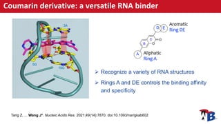 Coumarin derivative: a versatile RNA binder
 Recognize a variety of RNA structures
 Rings A and DE controls the binding ...