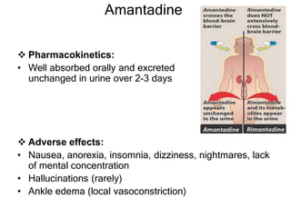 Amantadine
 Pharmacokinetics:
• Well absorbed orally and excreted
unchanged in urine over 2-3 days
 Adverse effects:
• Nausea, anorexia, insomnia, dizziness, nightmares, lack
of mental concentration
• Hallucinations (rarely)
• Ankle edema (local vasoconstriction)
 