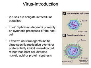 Virus-Introduction
• Viruses are obligate intracellular
parasites
• Their replication depends primarily
on synthetic processes of the host
cell
• Effective antiviral agents inhibit
virus-specific replicative events or
preferentially inhibit virus-directed
rather than host cell-directed
nucleic acid or protein synthesis
 