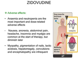 ZIDOVUDINE
 Adverse effects:
• Anaemia and neutropenia are the
most important and dose-related
adverse effects
• Nausea, anorexia, abdominal pain,
headache, insomnia and myalgia are
common at the start of therapy, but
diminish later
• Myopathy, pigmentation of nails, lactic
acidosis, hepatomegaly, convulsions
and encephalopathy are infrequent
 