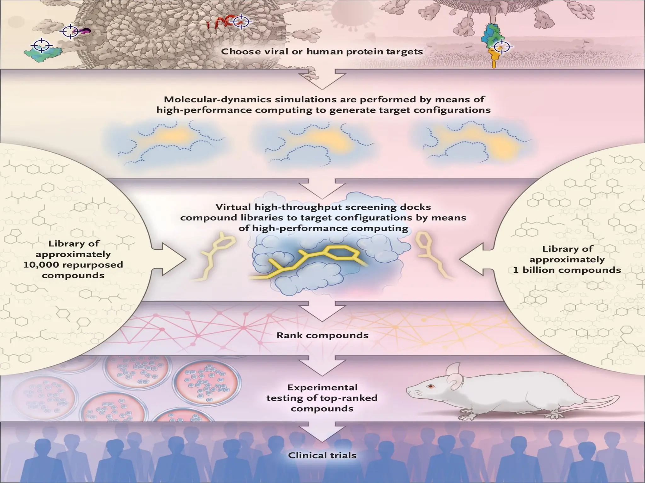 Antiviral Drugs and their mechanism of action | PDF