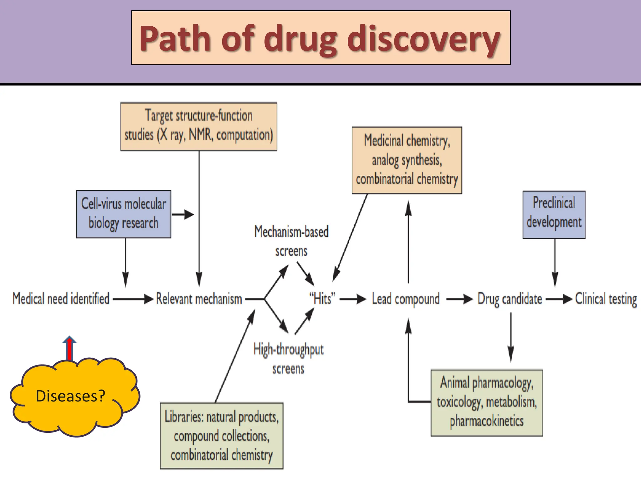 Antiviral Drugs and their mechanism of action | PDF
