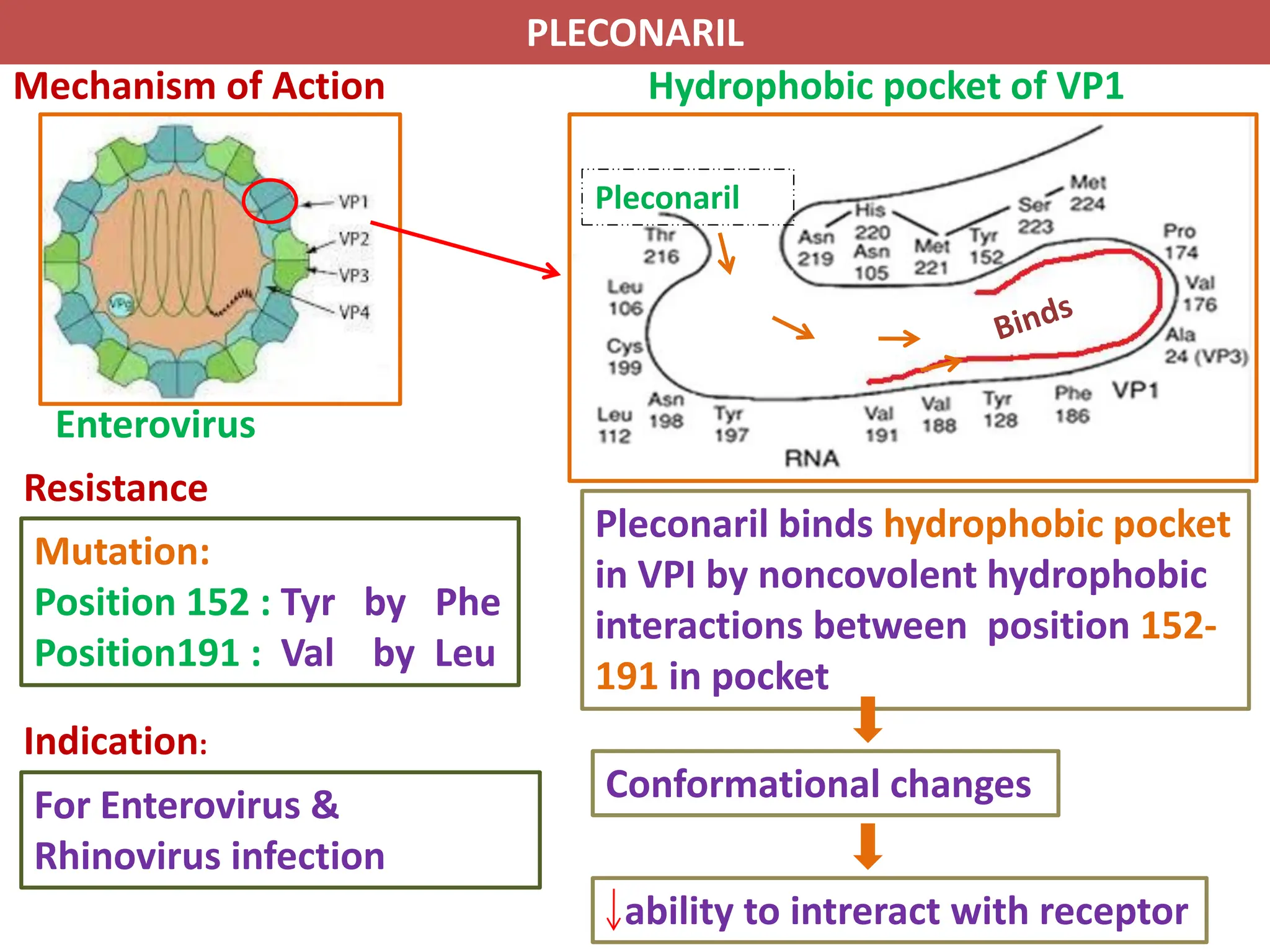 An Ideal Antiviral Drug Would Be One That Antiviral Drugs and their mechanism of action | PPT