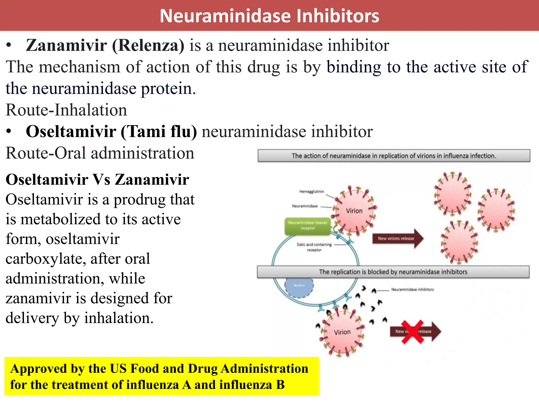 Antiviral Drugs and their mechanism of action | PDF