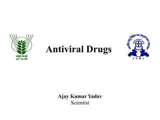 Antiviral Drugs
Ajay Kumar Yadav
Scientist
 