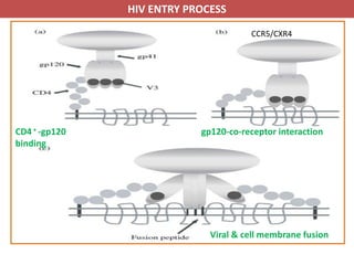 Antiviral Drugs and their mechanism of action | PDF